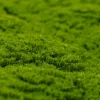 Fake moss panel with natural like moss