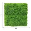 Fresh Natural Green Artificial Moss / Green Wall UV Resistant Sample