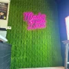 Wall Feature with logo using Fresh Natural Green Artificial Moss