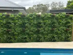 Backyard pool green wall