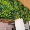 commercial fit out in Melbounre using fake plants