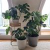 Beautiful designer pots. High quality sustainable pots made with recycled materials