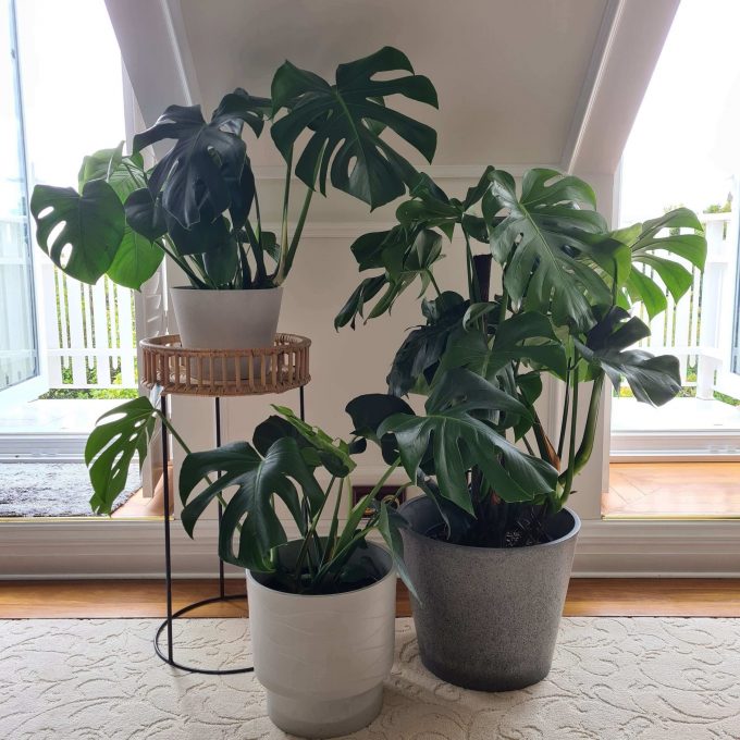Beautiful designer pots. High quality sustainable pots made with recycled materials