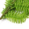 Fern leaves Hanging artificial fern