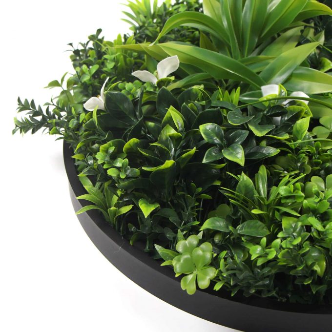 Side View Black Green Wall Disc Frame