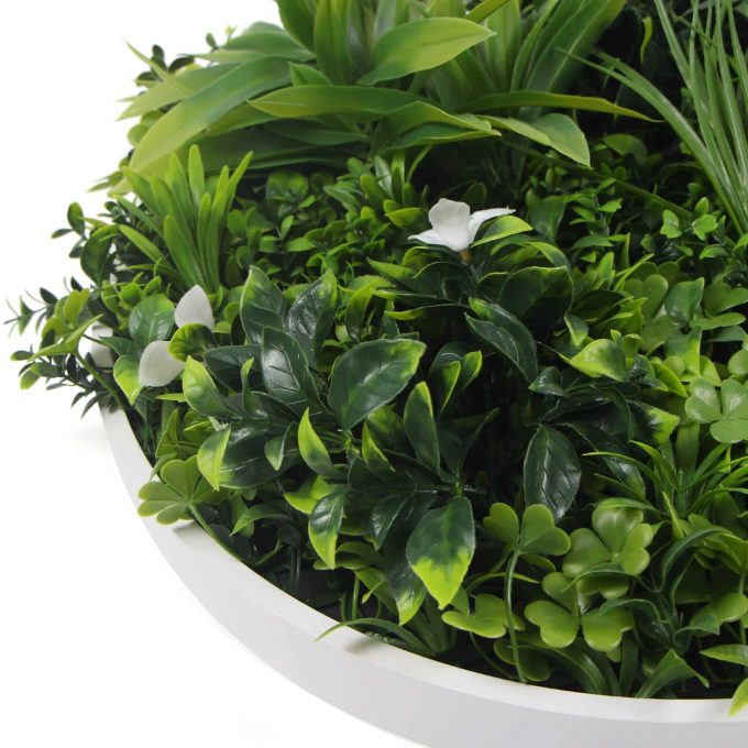 Frame and Foliage View - White Frame Artificial Vertical Garden Disc