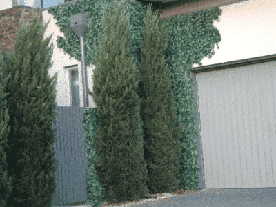 Artificial Hedges