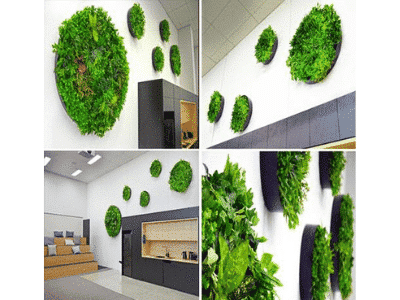 Green wall disks add life and charm to this training centre