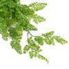 Leaves of 80cm Hanging Native Green Dense Maiden Hair Fern Bush UV Resistant