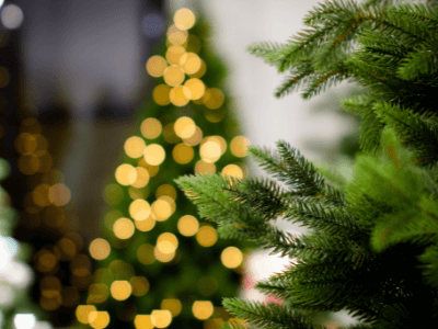 Artificial Plants With A Holiday Feel