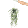 Artificial Hanging Pearls (Potted) 56cm UV Resistant
