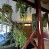 Hanging Baskets in a reception area