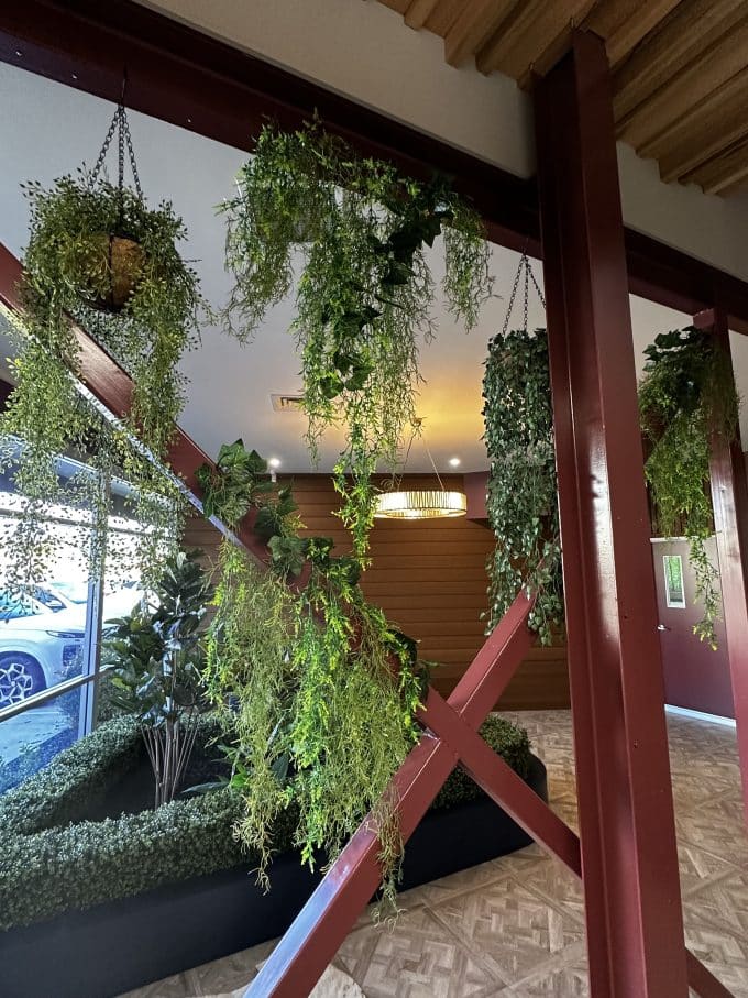 Hanging Baskets in a reception area
