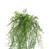 Bush Artificial Hanging Pearls / Fake Hanging Pearls Mixed Green