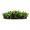 Frame View Artificial Green Wall Disc 80cm Wall Art Side View of Leaves