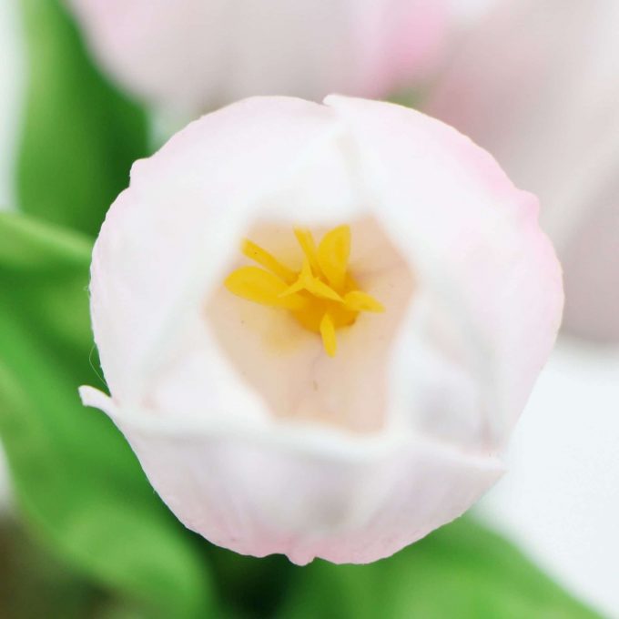 Close up Artificial Potted Tulip Plant with Pink Flowers