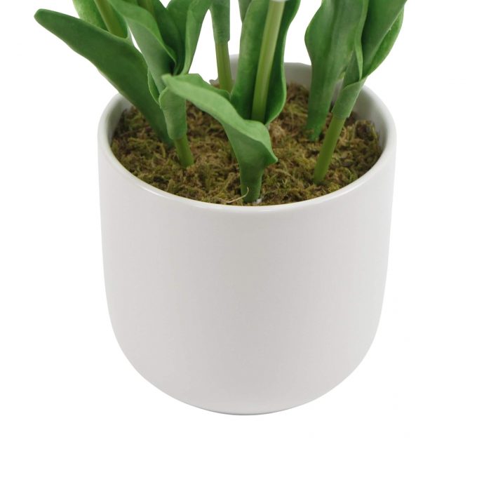 Pot Potted Artificial Tulip with White Flowers & Leaves