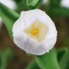 Flower Potted Artificial Tulip with White Flowers & Leaves