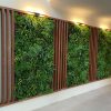 An office space in Sydney with stunning and lush Greenery