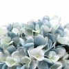 Flowers Artifiical Hydrangea with Glass Vase (Artificial Flowering Blue Hydrangea)