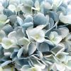 Flower and Vase Flowers Artifiical Hydrangea with Glass Vase (Artificial Flowering Blue Hydrangea)