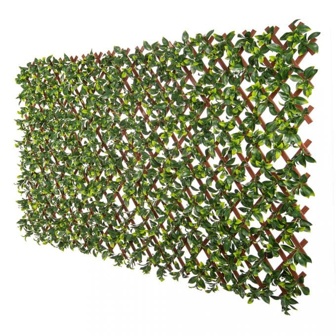 Artificial Hedge Trellis