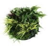 Front View Slimline Artificial Green Wall Disc Art 50cm Grassy Fern Fields UV Resistant (Black) (1)