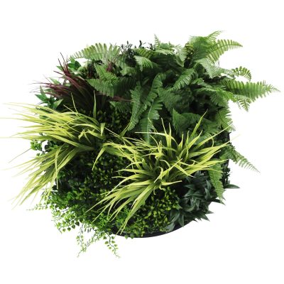 Front View Slimline Artificial Green Wall Disc Art 50cm Grassy Fern Fields UV Resistant (Black) (1)