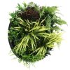 Slimline Artificial Green Wall Disc Art 50cm Grassy Fern Fields UV Resistant (Black) (1)