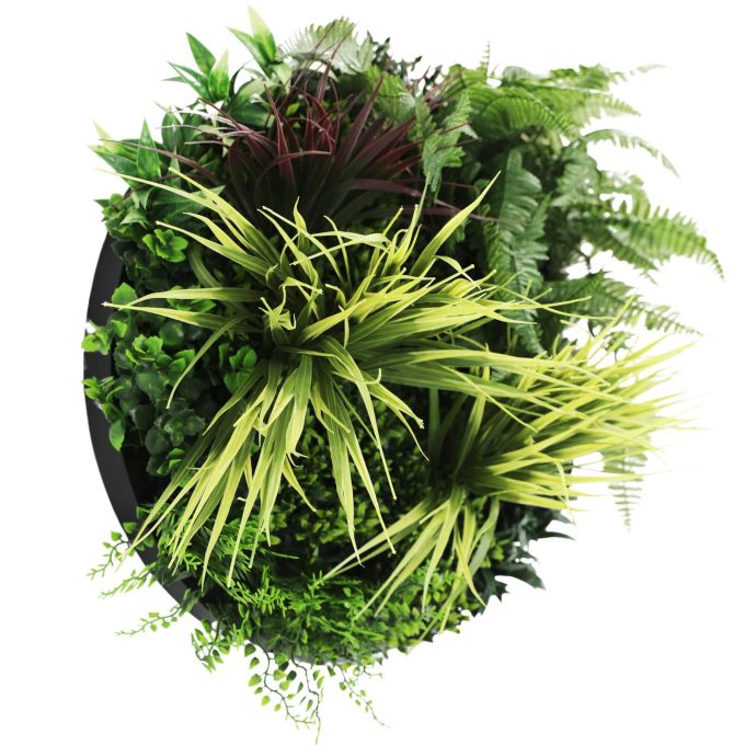 Slimline Artificial Green Wall Disc Art 50cm Grassy Fern Fields UV Resistant (Black) (1)
