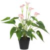 Stunning Lifelike Lilies Bundle