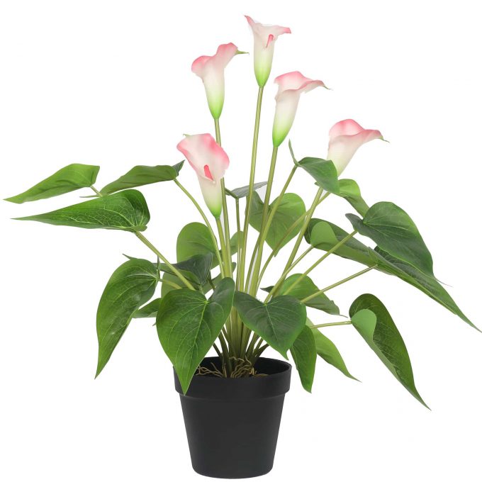 Stunning Lifelike Lilies Bundle