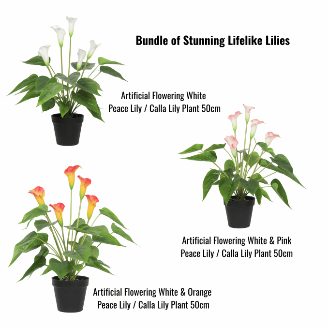 Stunning Life like Lilies Bundle