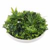Two 50cm and One 75cm Flowering White Disc Bundle