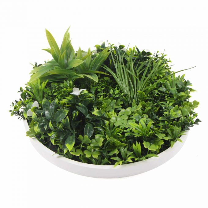 Two 50cm and One 75cm Flowering White Disc Bundle