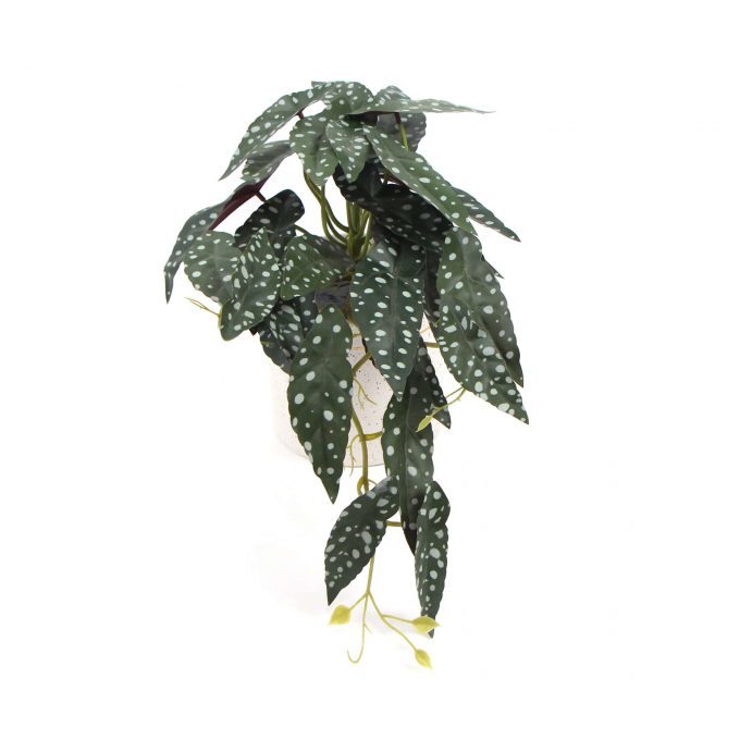 Artificial Bergonia Plant in Decorative Bowl