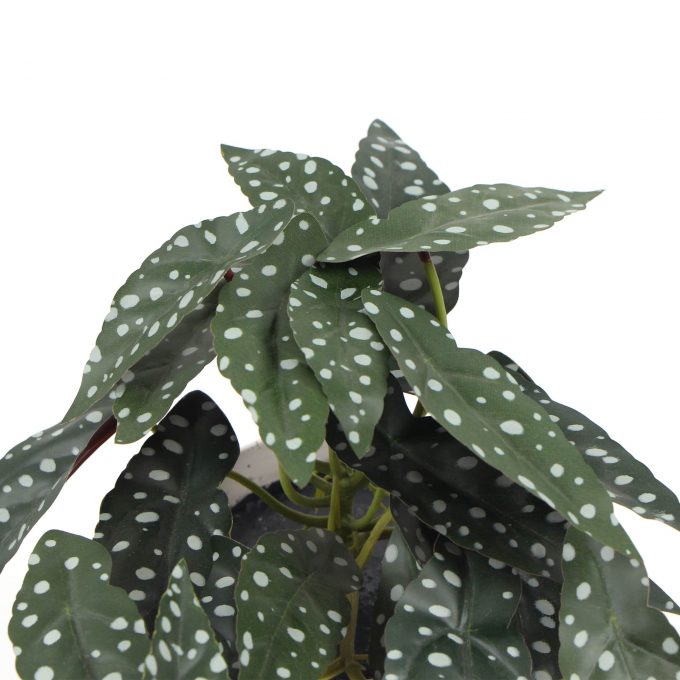 Artificial Begonia Maculata Plant In Decorative Bowl 30cm