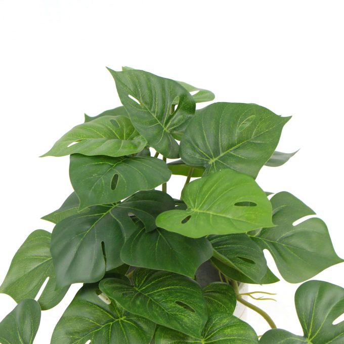 Decorative Artificial Monstera Adansonii Plant in Ceramic Bowl 30cm
