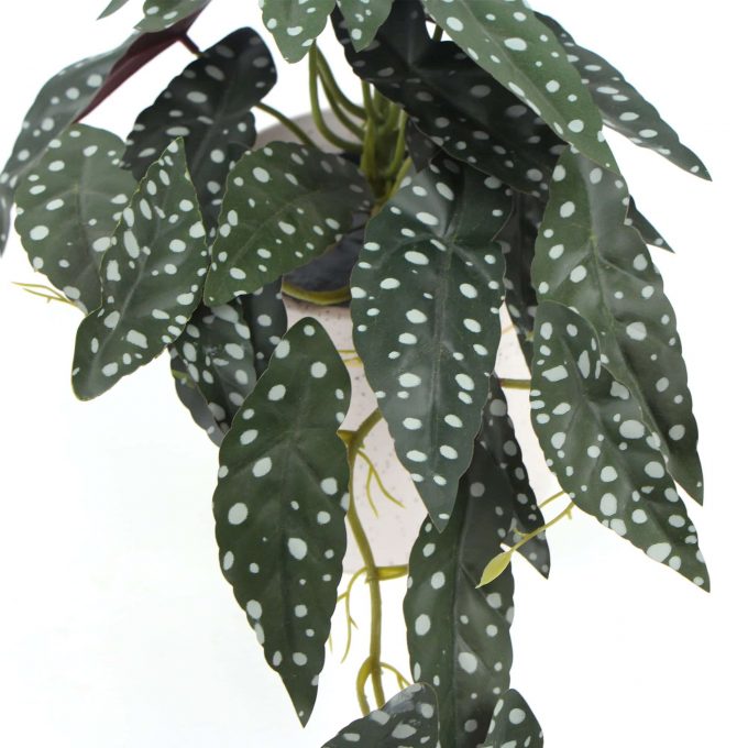 Artificial Begonia Maculata Plant In Decorative Bowl 30cm