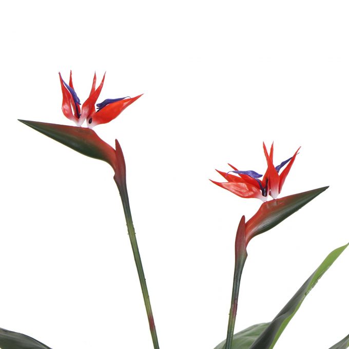 Artificial Bird of Paradise Plant 150cm (Red Flowers)