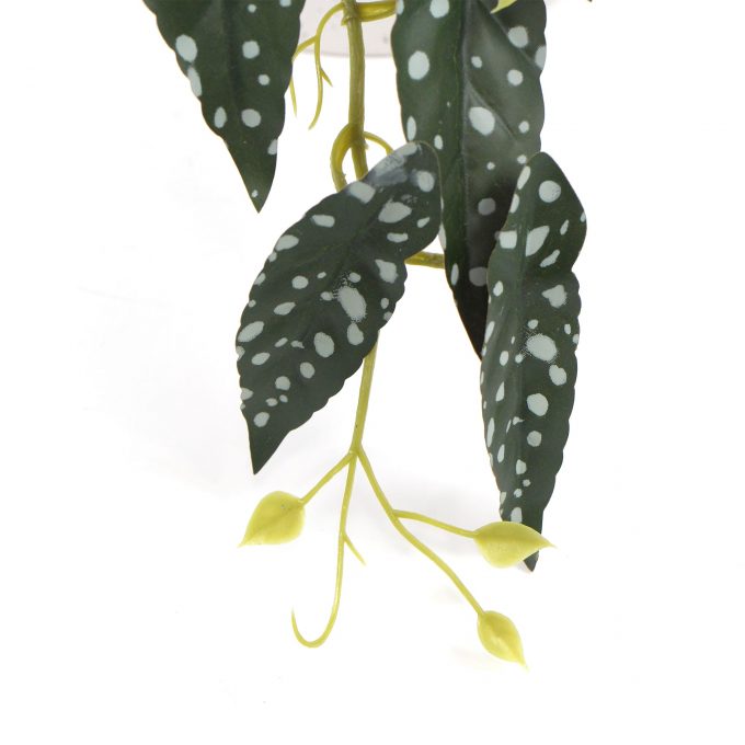 Artificial Begonia Maculata Plant In Decorative Bowl 30cm