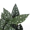 Artificial Begonia Maculata Plant In Decorative Bowl 30cm
