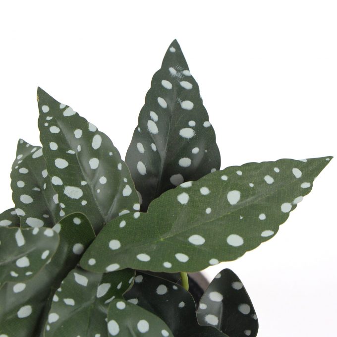 Artificial Begonia Maculata Plant In Decorative Bowl 30cm