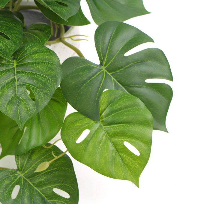 Decorative Artificial Monstera Adansonii Plant in Ceramic Bowl 30cm