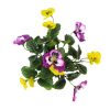 Mixed Pink and Yellow Flowering Potted Artificial Pansy Plants 25cm
