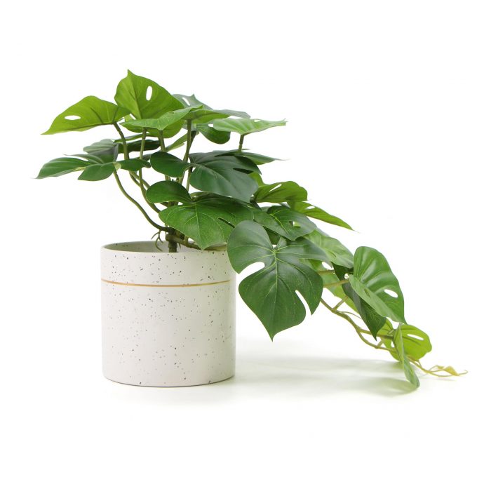 Decorative Artificial Monstera Adansonii Plant in Ceramic Bowl 30cm
