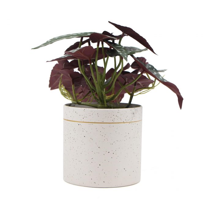 Artificial Begonia Maculata Plant In Decorative Bowl 30cm