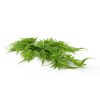 Artificial Hanging English Fern (Two-tone) Foliage UV Resistant 80cm