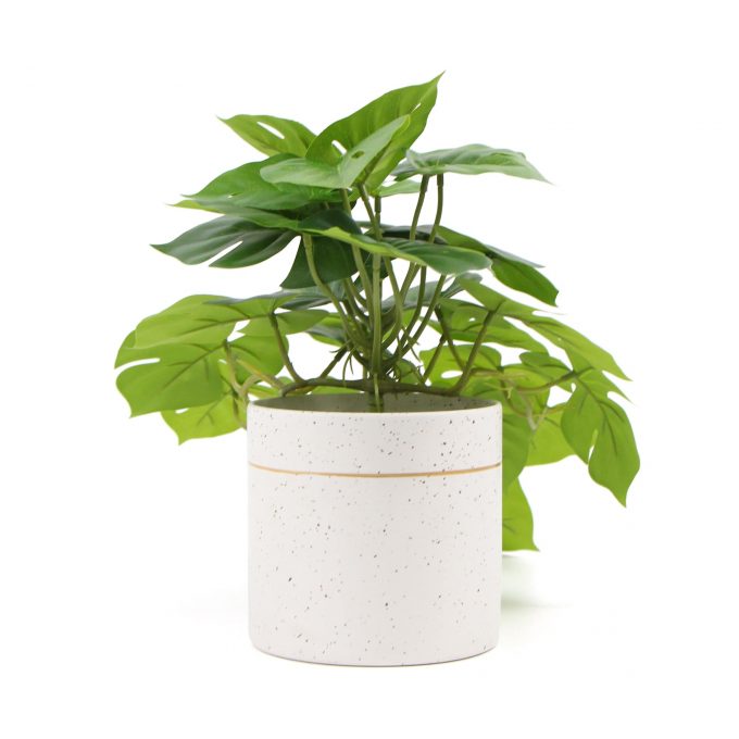 Decorative Artificial Monstera Adansonii Plant in Ceramic Bowl 30cm