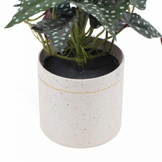 Artificial Begonia Maculata Plant In Decorative Bowl 30cm